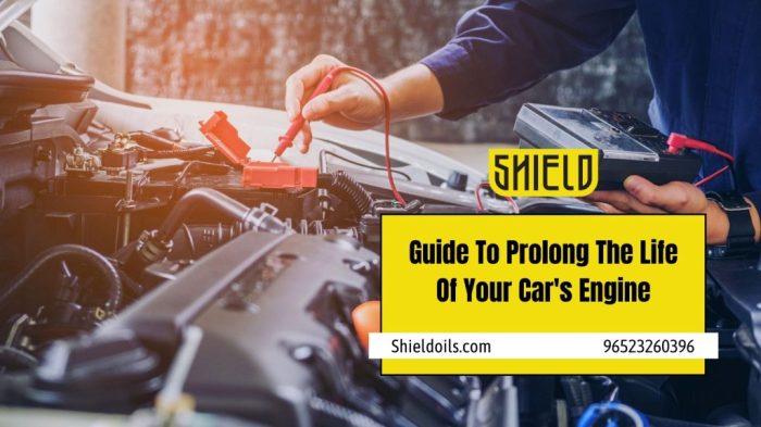 Guide To Prolong The Life Of Your Car's Engine | Shield Lubricants